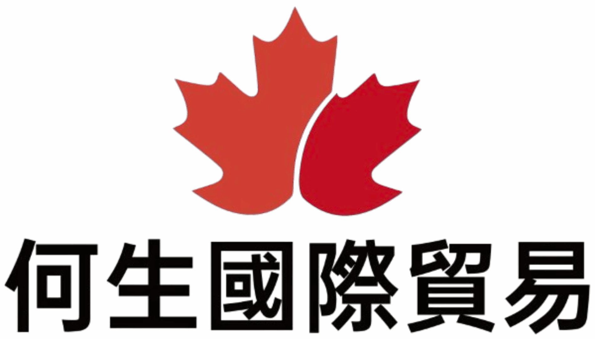 何生國際貿易